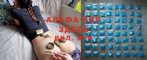 гашик Арсеньев