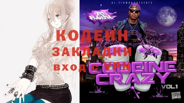 гашик Арсеньев
