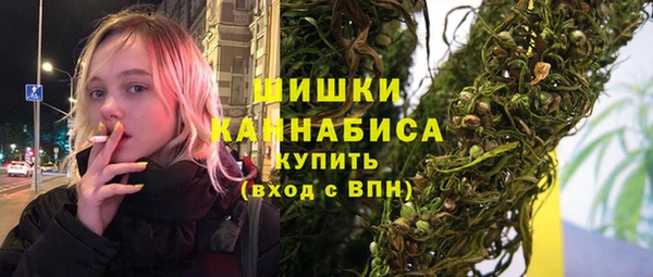 гашик Арсеньев