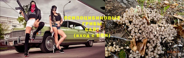 гидропоника Алексеевка