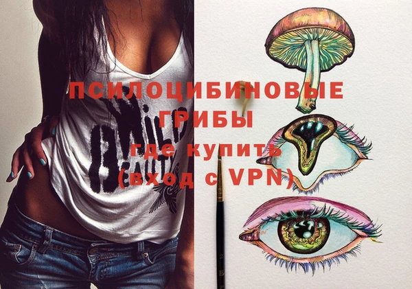 дурь Армянск