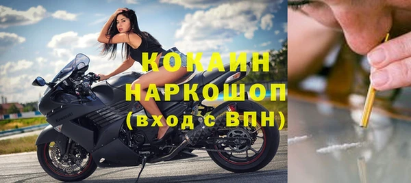 гашик Арсеньев