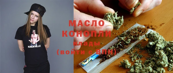 гашик Арсеньев